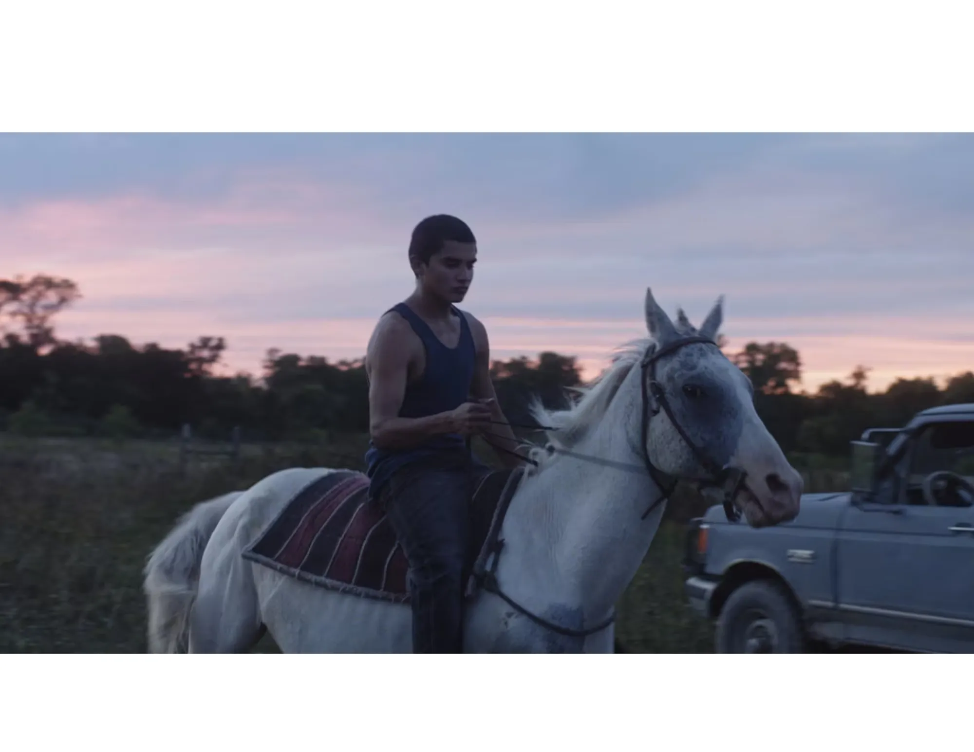 a young man on a horse at sunset