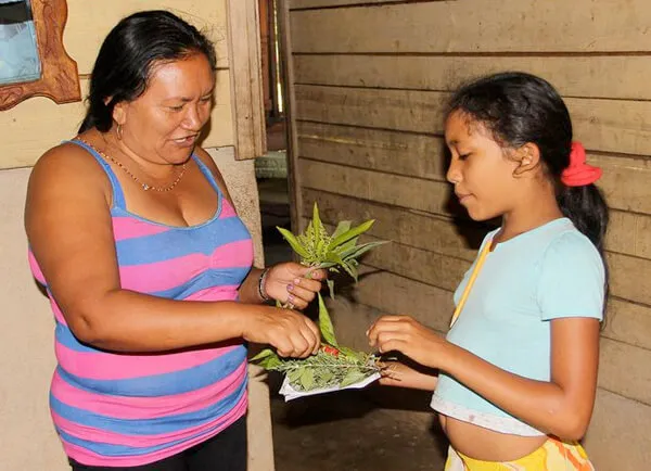 A woman and a child looking at plants together