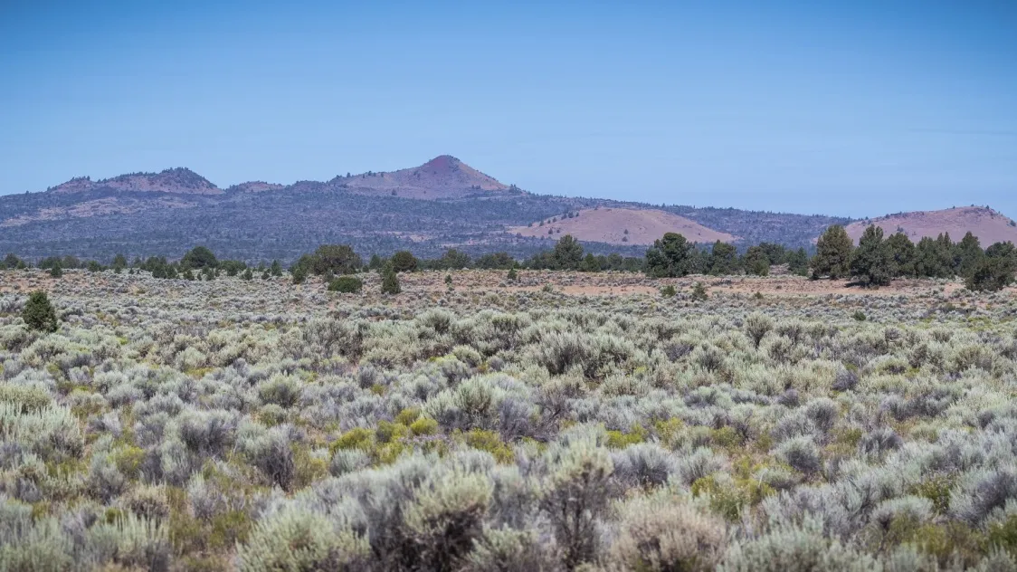 The Yulum Ridge Lava Bed in Oregon